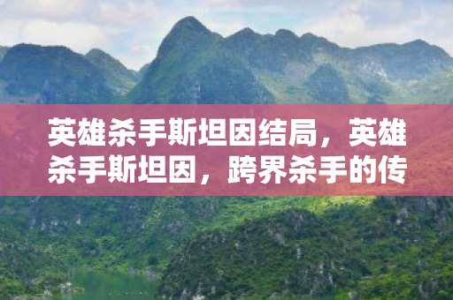 英雄杀手斯坦因结局，英雄杀手斯坦因，跨界杀手的传奇故事