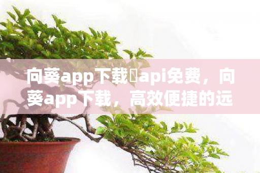 向葵app下载汅api免费，向葵app下载，高效便捷的远程控制与文件管理