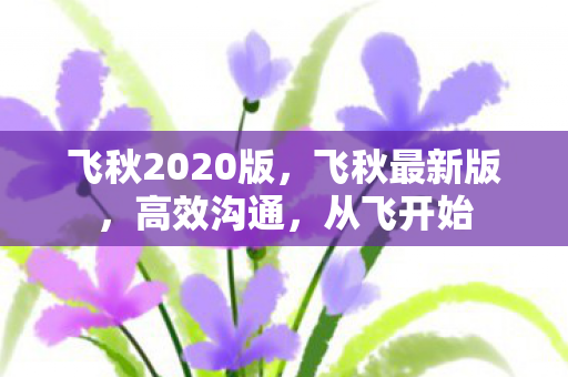 飞秋2020版，飞秋最新版，高效沟通，从飞开始