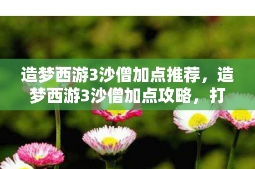 造梦西游3沙僧加点推荐，造梦西游3沙僧加点攻略，打造最强辅助角色