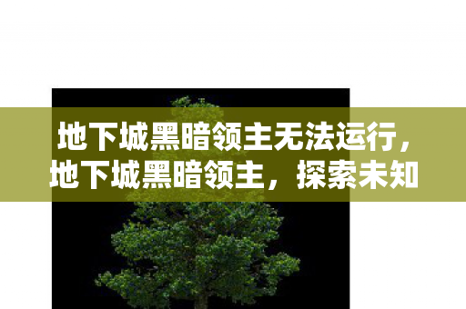地下城黑暗领主无法运行，地下城黑暗领主，探索未知领域的冒险之旅