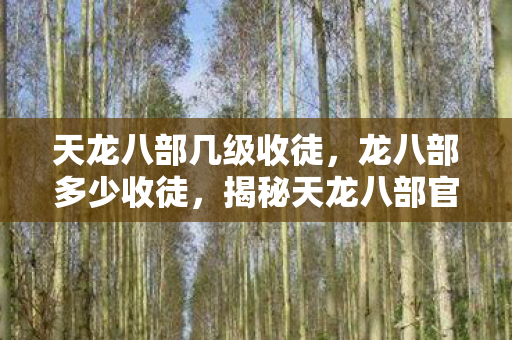 天龙八部几级收徒，龙八部多少收徒，揭秘天龙八部官方收徒门槛与策略