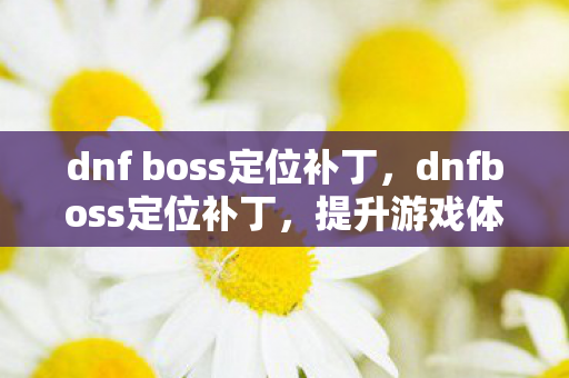 dnf boss定位补丁，dnfboss定位补丁，提升游戏体验的必备神器