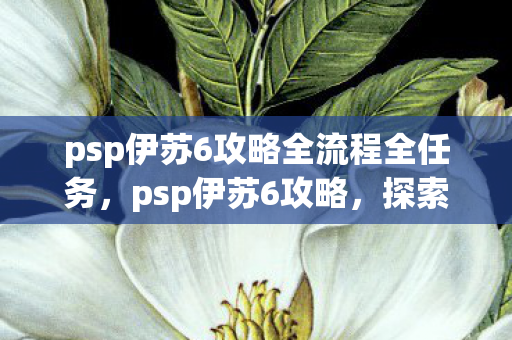 psp伊苏6攻略全流程全任务，psp伊苏6攻略，探索未知世界的奇幻之旅