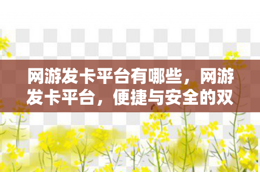 网游发卡平台有哪些，网游发卡平台，便捷与安全的双赢选择