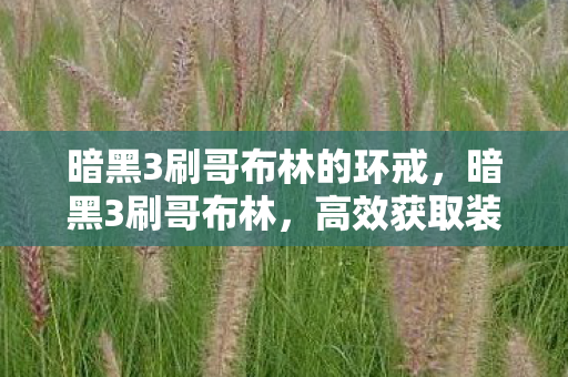 暗黑3刷哥布林的环戒，暗黑3刷哥布林，高效获取装备与经验的策略指南