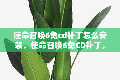 使命召唤6免cd补丁怎么安装，使命召唤6免CD补丁，游戏爱好者的必备工具
