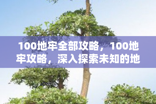 100地牢全部攻略，100地牢攻略，深入探索未知的地牢挑战