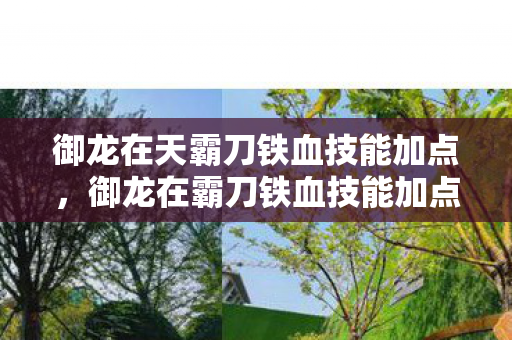 御龙在天霸刀铁血技能加点，御龙在霸刀铁血技能加点攻略
