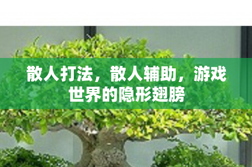 散人打法，散人辅助，游戏世界的隐形翅膀