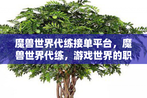 魔兽世界代练接单平台,魔兽世界代练,游戏世界的职业玩家 魔兽世界代练接单平台,魔兽世界代练,游戏世界的职业玩家