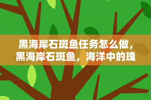 黑海岸石斑鱼任务怎么做,黑海岸石斑鱼,海洋中的瑰宝与保护挑战 黑海岸石斑鱼任务怎么做,黑海岸石斑鱼,海洋中的瑰宝与保护挑战