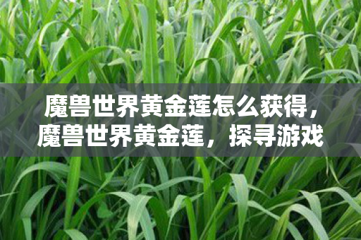 魔兽世界黄金莲怎么获得，魔兽世界黄金莲，探寻游戏中的神秘宝藏