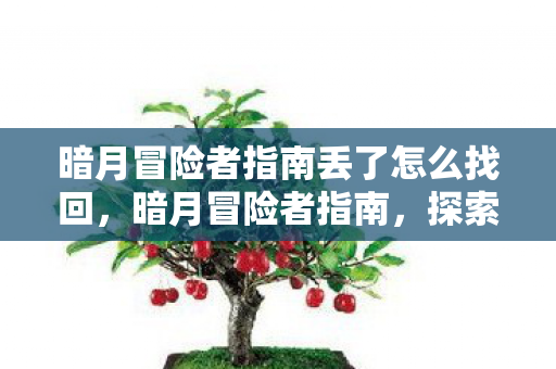 暗月冒险者指南丢了怎么找回，暗月冒险者指南，探索未知世界的生存与冒险