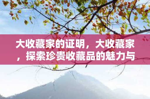 大收藏家的证明，大收藏家，探索珍贵收藏品的魅力与奥秘