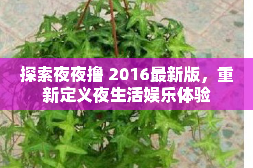 探索夜夜撸 2016最新版，重新定义夜生活娱乐体验