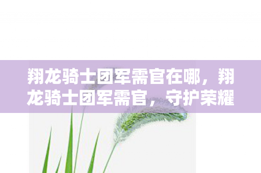 翔龙骑士团军需官在哪，翔龙骑士团军需官，守护荣耀的物资保障