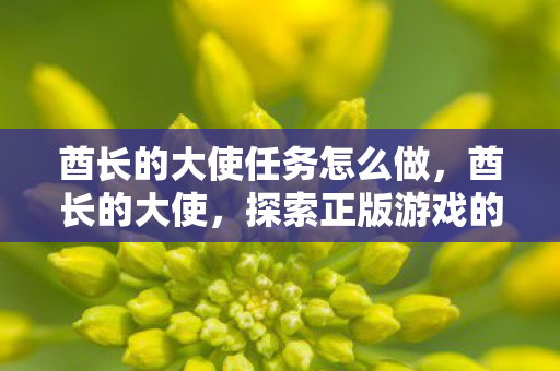 酋长的大使任务怎么做，酋长的大使，探索正版游戏的魅力与无限可能