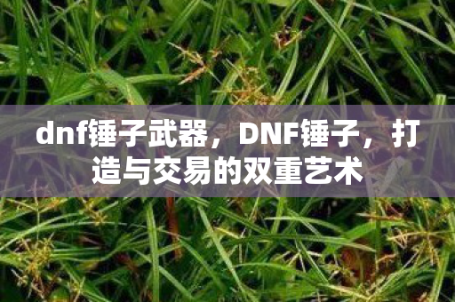 dnf锤子武器,DNF锤子,打造与交易的双重艺术 dnf锤子武器,DNF锤子,打造与交易的双重艺术