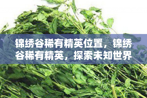 锦绣谷稀有精英位置,锦绣谷稀有精英,探索未知世界的奇幻之旅 锦绣谷稀有精英位置,锦绣谷稀有精英,探索未知世界的奇幻之旅