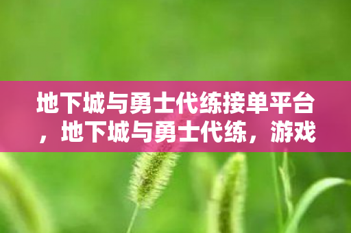 地下城与勇士代练接单平台,地下城与勇士代练,游戏进阶的捷径与挑战 地下城与勇士代练接单平台,地下城与勇士代练,游戏进阶的捷径与挑战