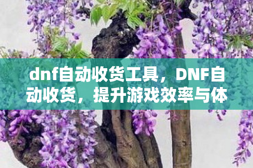 dnf自动收货工具,DNF自动收货,提升游戏效率与体验的智能工具 dnf自动收货工具,DNF自动收货,提升游戏效率与体验的智能工具