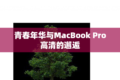 青春年华与MacBook Pro高清的邂逅