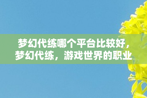 梦幻代练哪个平台比较好，梦幻代练，游戏世界的职业玩家