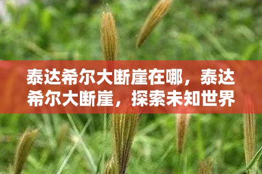 泰达希尔大断崖在哪,泰达希尔大断崖,探索未知世界的壮丽奇观 泰达希尔大断崖在哪,泰达希尔大断崖,探索未知世界的壮丽奇观