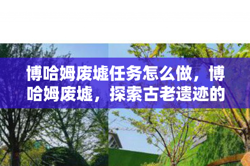 博哈姆废墟任务怎么做，博哈姆废墟，探索古老遗迹的奇幻之旅