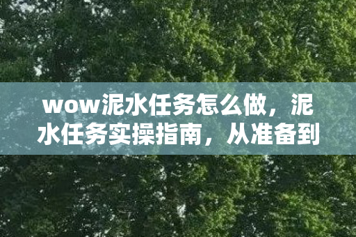 wow泥水任务怎么做，泥水任务实操指南，从准备到完成的全面解析