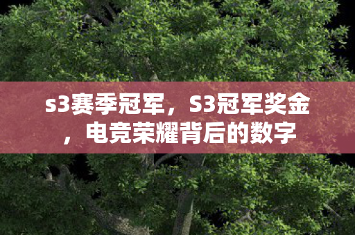 s3赛季冠军,S3冠军奖金,电竞荣耀背后的数字 s3赛季冠军,S3冠军奖金,电竞荣耀背后的数字