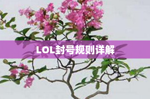 LOL封号规则详解