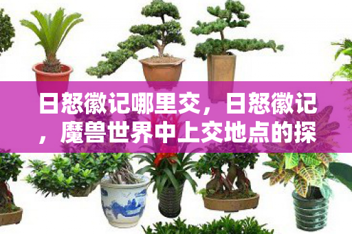 日怒徽记哪里交,日怒徽记,魔兽世界中上交地点的探索 日怒徽记哪里交,日怒徽记,魔兽世界中上交地点的探索