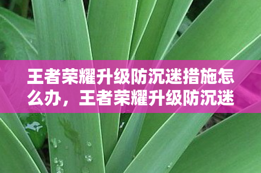 王者荣耀升级防沉迷措施怎么办，王者荣耀升级防沉迷措施，守护青少年健康成长的坚实防线