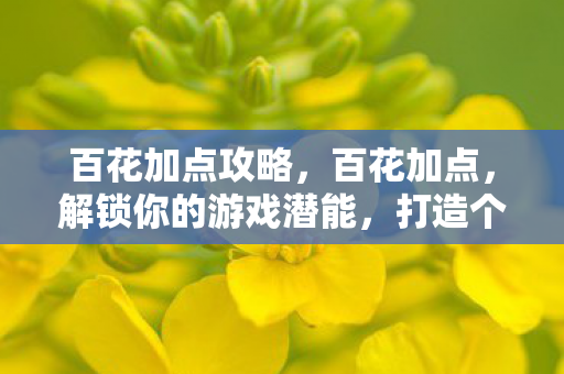 百花加点攻略，百花加点，解锁你的游戏潜能，打造个性化角色