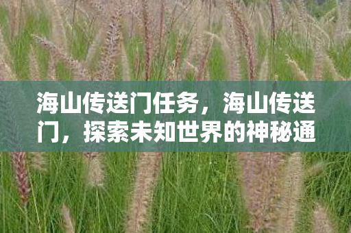 海山传送门任务,海山传送门,探索未知世界的神秘通道 海山传送门任务,海山传送门,探索未知世界的神秘通道