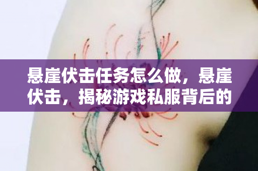 悬崖伏击任务怎么做，悬崖伏击，揭秘游戏私服背后的运营策略与玩家心理