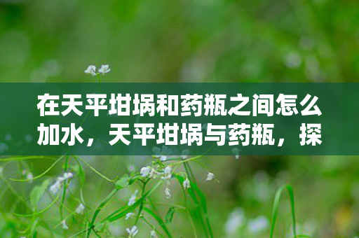 在天平坩埚和药瓶之间怎么加水，天平坩埚与药瓶，探索科学实验的精密与奇妙