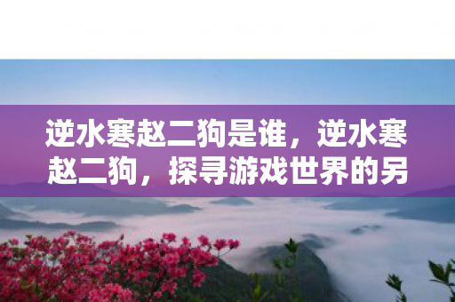 逆水寒赵二狗是谁，逆水寒赵二狗，探寻游戏世界的另类传奇