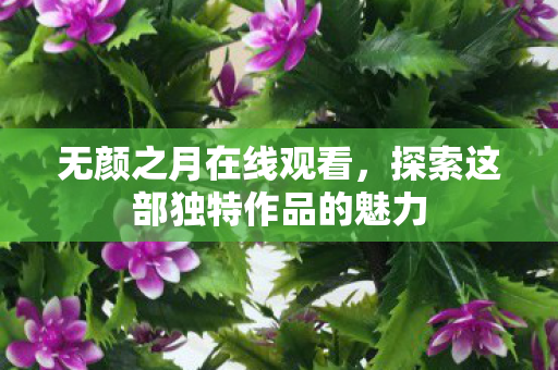 无颜之月在线观看，探索这部独特作品的魅力