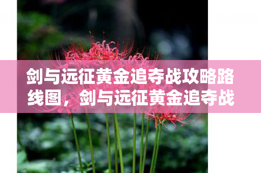 剑与远征黄金追夺战攻略路线图,剑与远征黄金追夺战攻略 剑与远征黄金追夺战攻略路线图,剑与远征黄金追夺战攻略