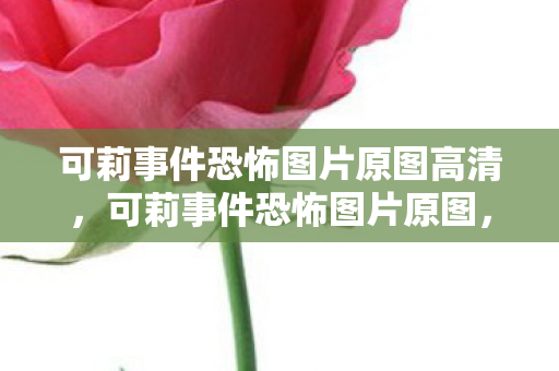 可莉事件恐怖图片原图高清，可莉事件恐怖图片原图，揭开网络暴力的阴影