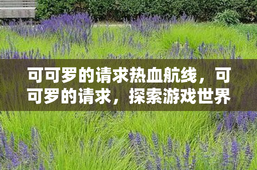 可可罗的请求热血航线，可可罗的请求，探索游戏世界的多元体验