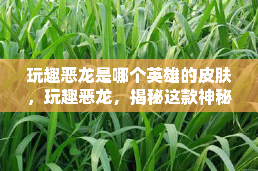 玩趣恶龙是哪个英雄的皮肤,玩趣恶龙,揭秘这款神秘皮肤的归属 玩趣恶龙是哪个英雄的皮肤,玩趣恶龙,揭秘这款神秘皮肤的归属