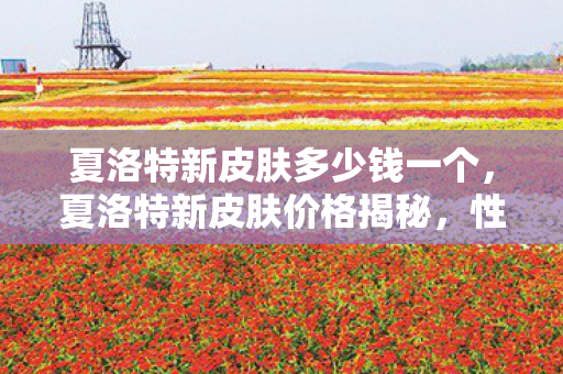 夏洛特新皮肤多少钱一个，夏洛特新皮肤价格揭秘，性价比与期待的碰撞