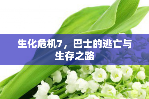 生化危机7,巴士的逃亡与生存之路 生化危机7,巴士的逃亡与生存之路