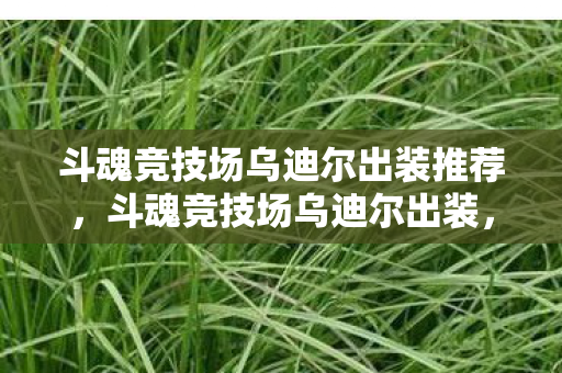 斗魂竞技场乌迪尔出装推荐，斗魂竞技场乌迪尔出装，打造最强野区霸主