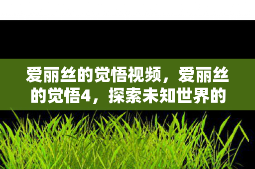 爱丽丝的觉悟视频，爱丽丝的觉悟4，探索未知世界的勇气与智慧