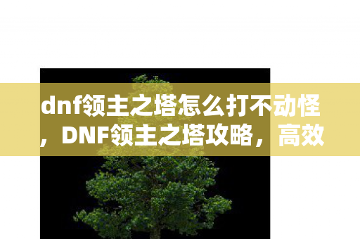dnf领主之塔怎么打不动怪，DNF领主之塔攻略，高效通关策略
